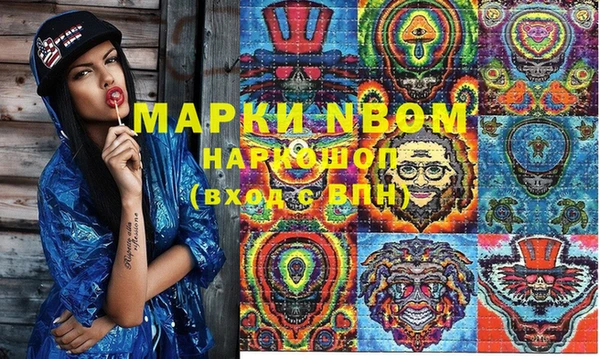 apvp Алексин
