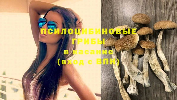 молекула духа Алзамай