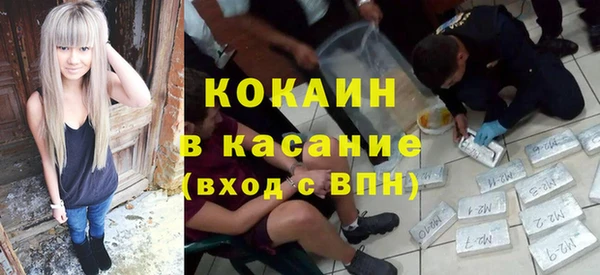 молекула духа Алзамай
