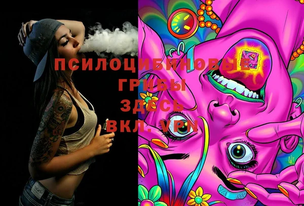 молекула духа Алзамай