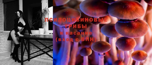 молекула духа Алзамай